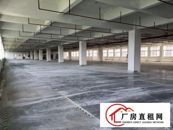  西乡黄田大型红本厂房3200平出租，原房东，面积足