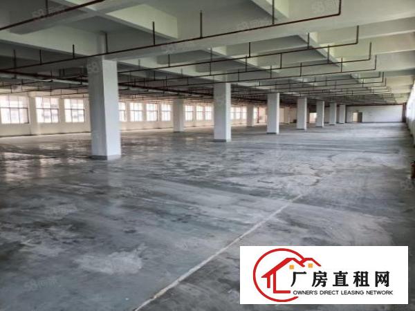  西乡黄田大型红本厂房3200平出租，原房东，面积足