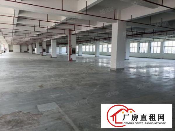  西乡黄田大型红本厂房3200平出租，原房东，面积足
