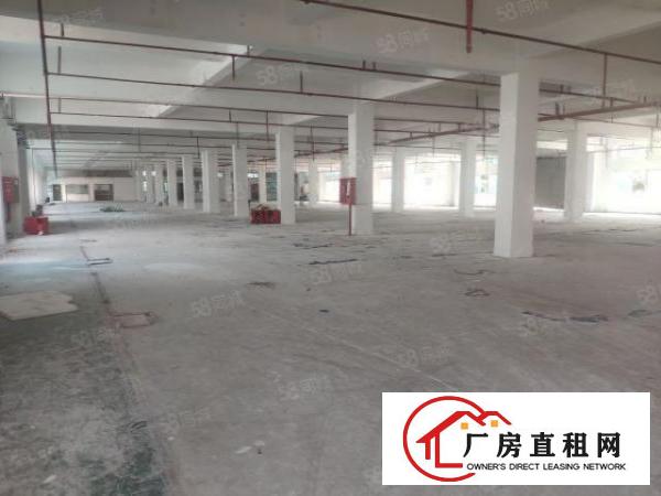 西乡九围4000平厂房出租空地超大