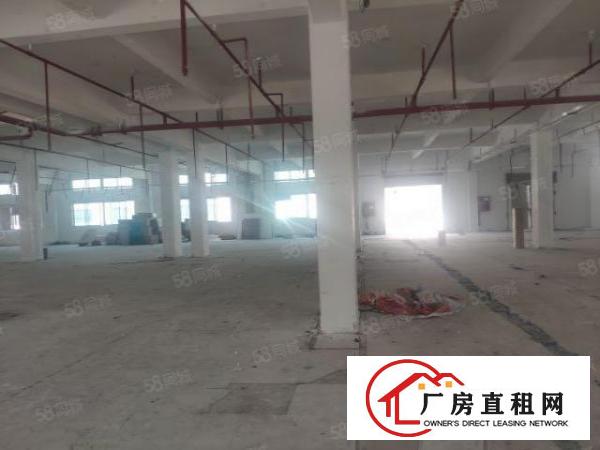  西乡九围4000平厂房出租空地超大