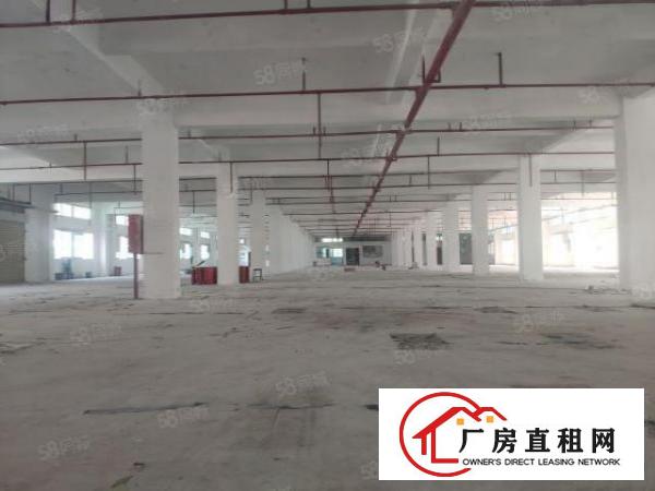  西乡九围4000平厂房出租空地超大