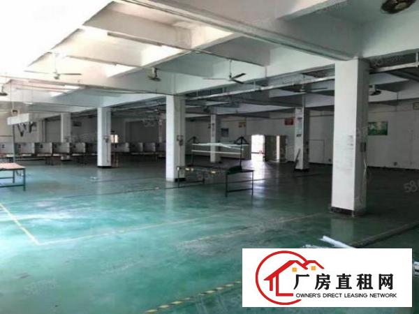  深圳西乡钟屋工业区精装修厂房1800平