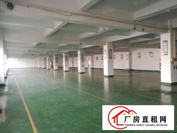  西乡富源工业城红本厂房楼上1300平，先到先得！