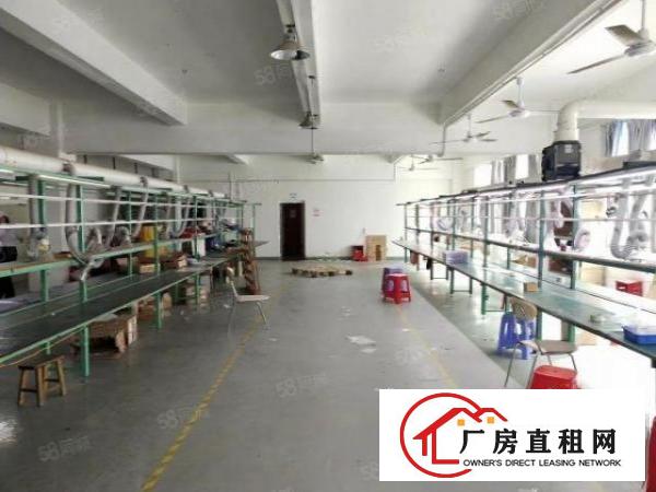  西乡，鹤州，楼上带精装修875平厂房，31格局，水电到位！