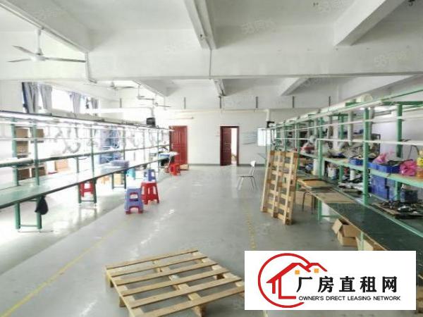  西乡，鹤洲靠近洲石路边上，新出楼上厂房875平，带精装修空调
