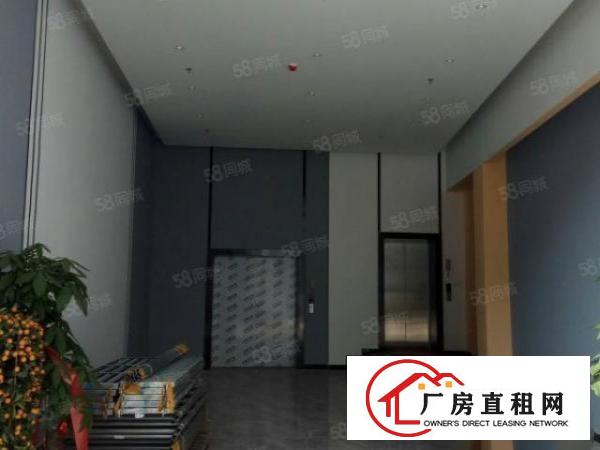  固戍独立5000平方厂房仓库办公室出租300平起分租