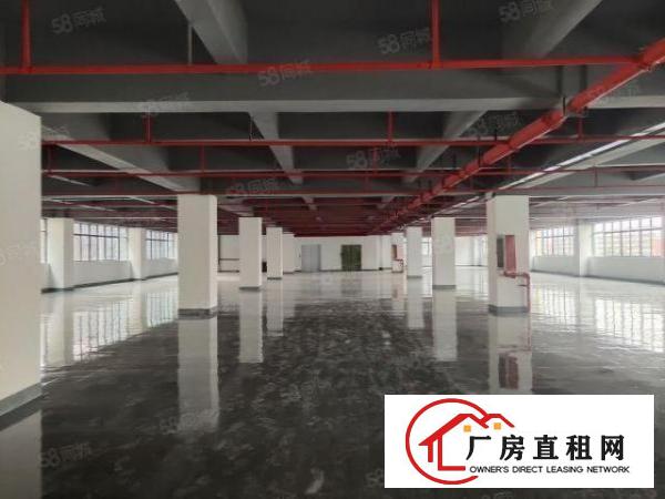  西乡银田工业园，新出全新升级，办公厂房1200平出租，可分租