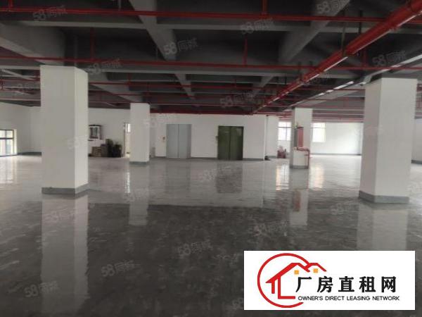  西乡银田工业园，新出全新升级，办公厂房1200平出租，可分租