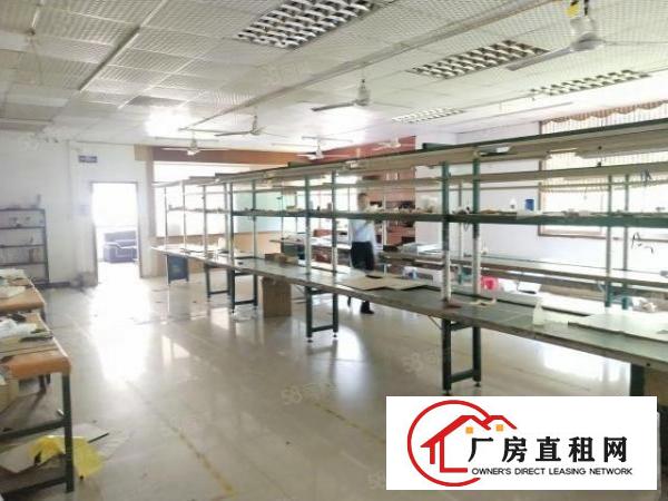  西乡大道，银田工业园，电梯口户型，新出楼上厂房带装修380平