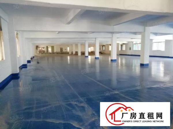  西乡，钟屋独栋，全新地坪漆350平起，厂房仓库出租，带吊机口