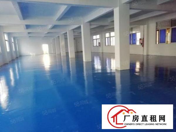  西乡，钟屋独栋，全新地坪漆350平起，厂房仓库出租，带吊机口