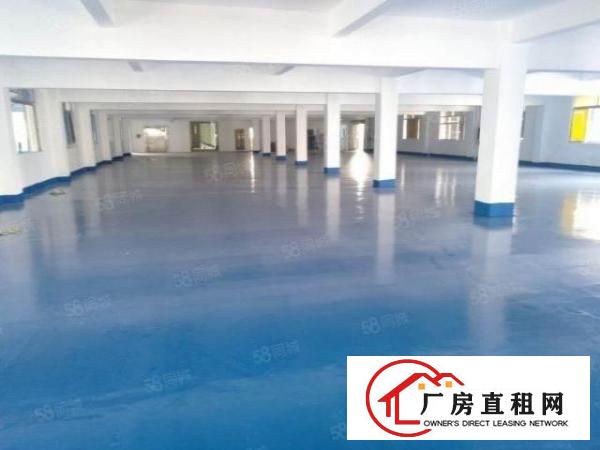  西乡，钟屋独栋，全新地坪漆350平起，厂房仓库出租，带吊机口