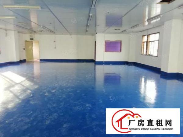  西乡，钟屋独栋，全新地坪漆350平起，厂房仓库出租，带吊机口