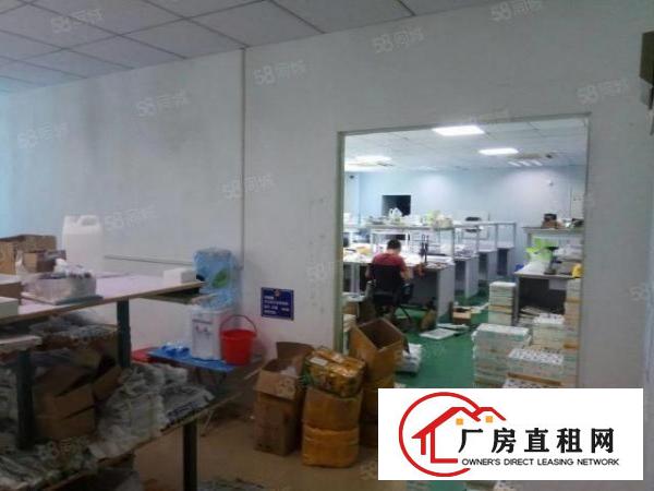  西乡草围工业区850平带装修厂房业主直租