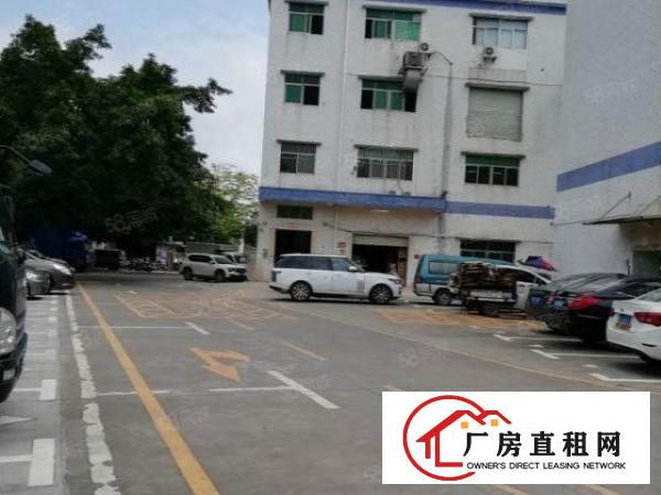  西乡厂房仓库500800大小分租