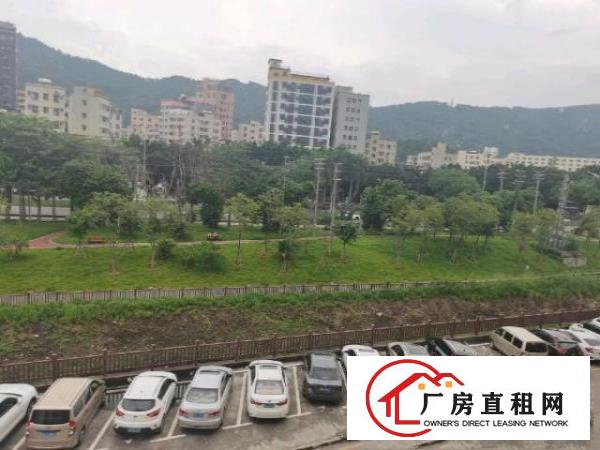  3楼整层分租出来的。有550个平方，厂房方正，有一个办公室。