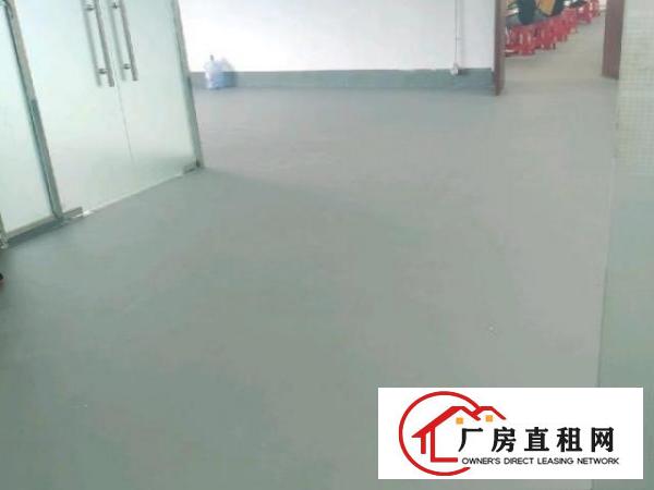  3楼整层分租出来的。有550个平方，厂房方正，有一个办公室。