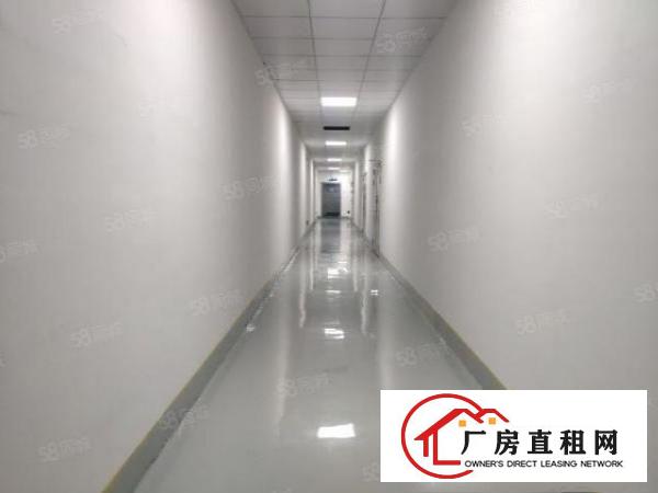  西乡九围200400600800平全新地坪漆厂房出租