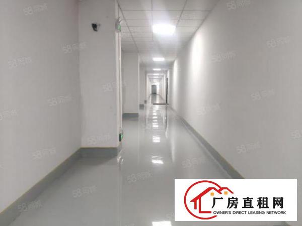  西乡九围200400600800平全新地坪漆厂房出租
