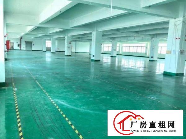 西乡宝安大道附近厂房仓库豪华写字楼出租50平1800平