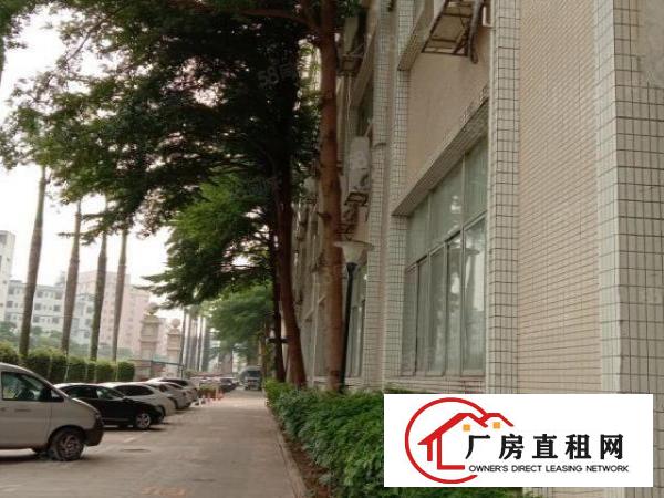  西乡一楼原房出东600平800平1500平2000平带装修