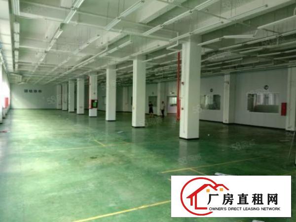  西乡一楼原房出东600平800平1500平2000平带装修
