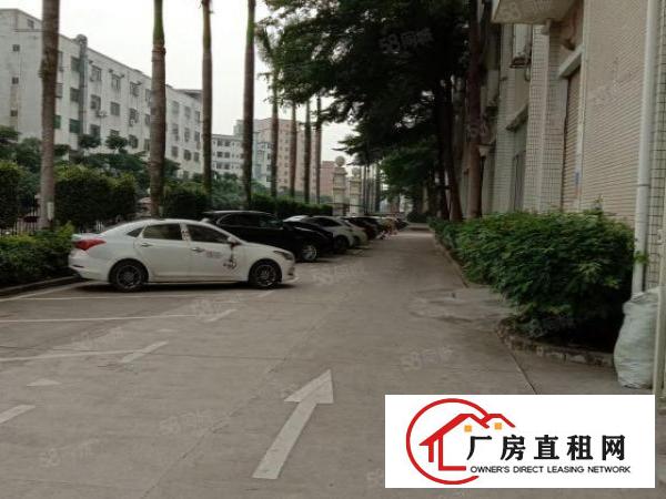  西乡一楼原房出东600平800平1500平2000平带装修