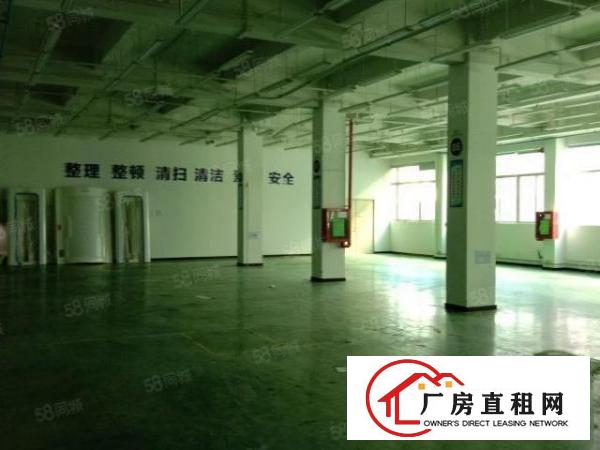  西乡一楼原房出东600平800平1500平2000平带装修