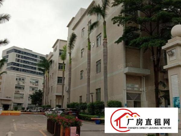  西乡一楼原房出东600平800平1500平2000平带装修