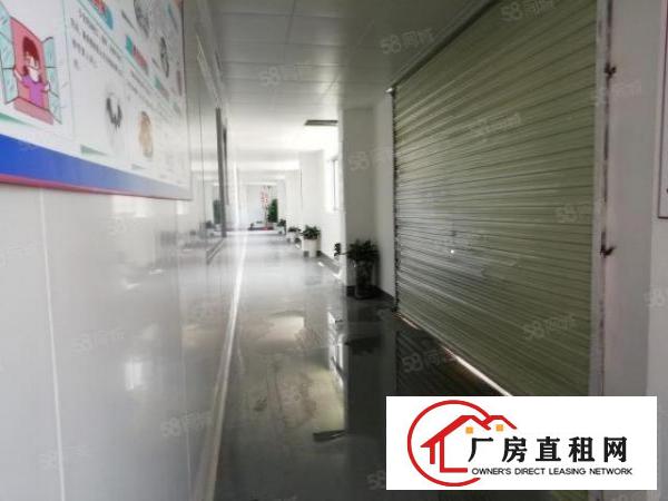  西乡，固戍地铁站，独院带无尘车间厂房1100平出租，无转让费