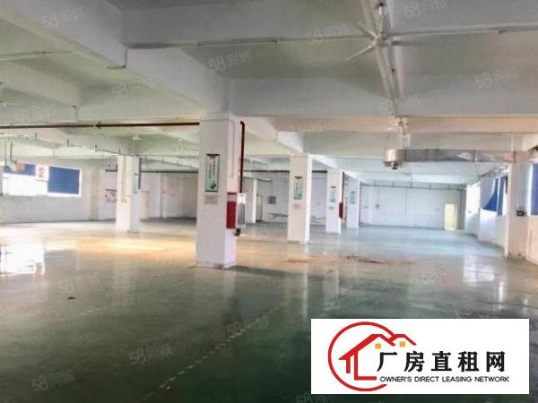  出租西乡桃源居精装厂房1380平