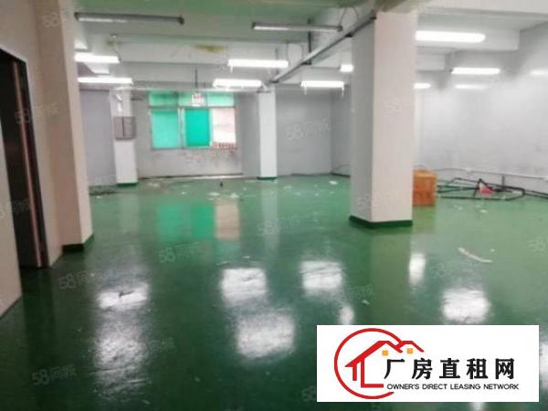  固戍350平精装修厂房物业直租不要转让费