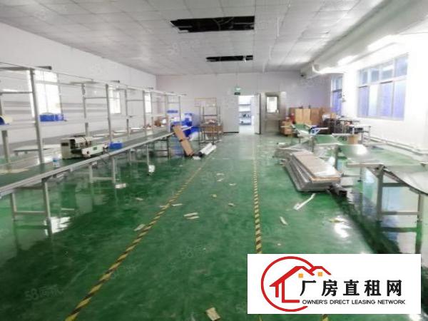  西乡，铁岗，新出带精装修870平无尘车间厂房出租，租金22元