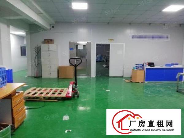  西乡，铁岗，新出带精装修870平无尘车间厂房出租，租金22元