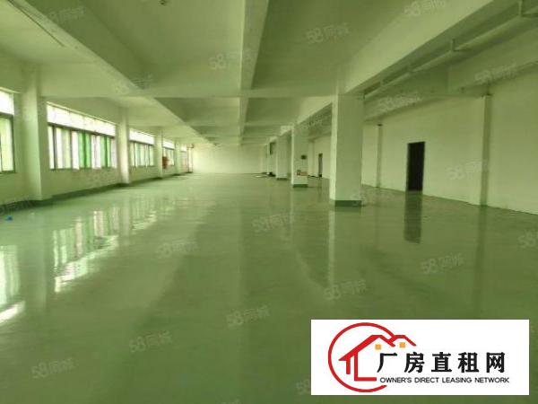  西乡九围1500平全新厂房出租有地坪漆大小可分租