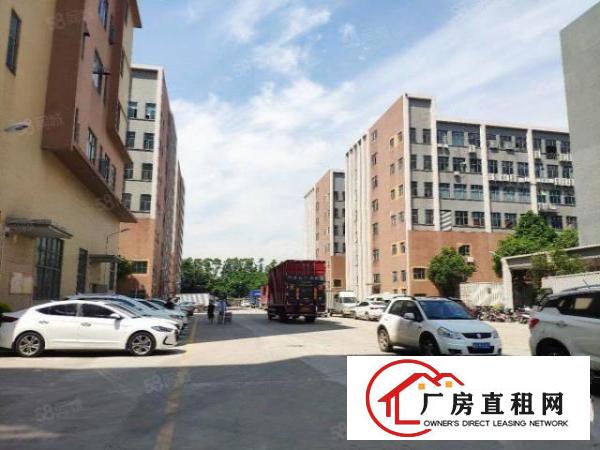  西乡九围1500平全新厂房出租有地坪漆大小可分租