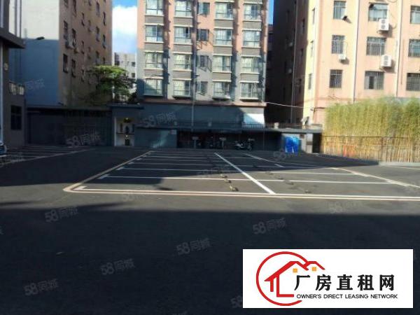  西乡客运站旁边精装修写字楼一手业主直租100到8000平
