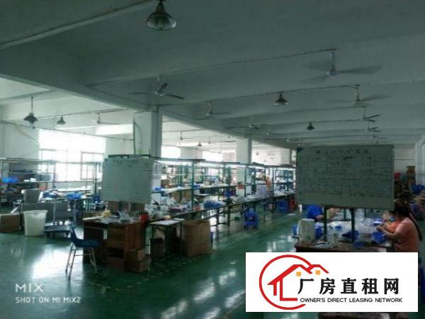  福永塘尾楼上1000带豪华装修前台办公室车间格局好利用