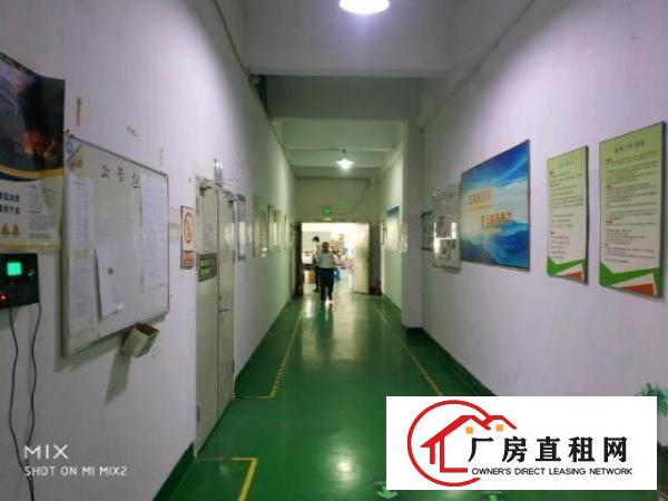  福永塘尾楼上1000带豪华装修前台办公室车间格局好利用