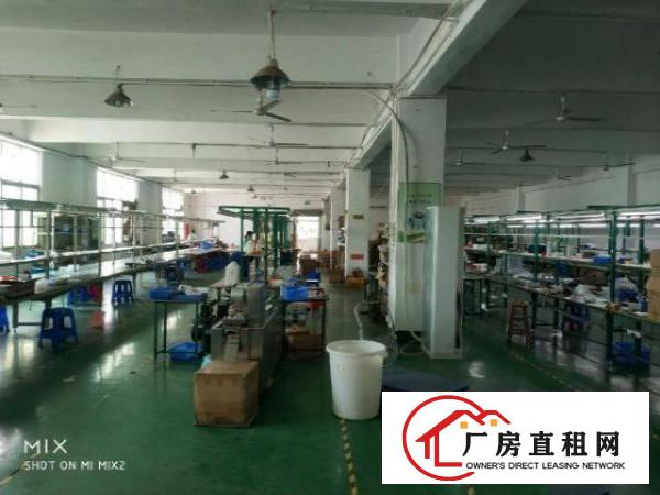  福永塘尾楼上1000带豪华装修前台办公室车间格局好利用