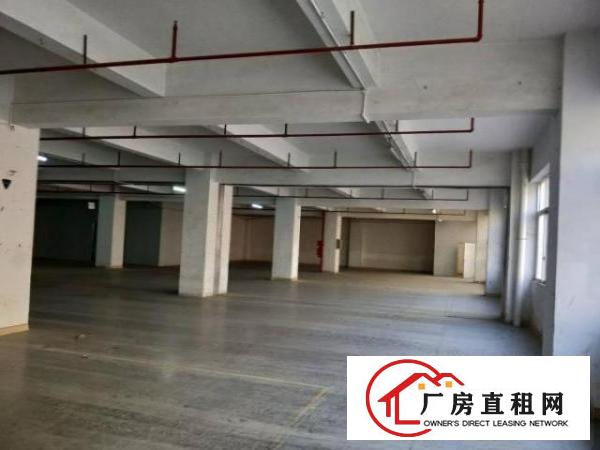  福永新和原房东厂房出租