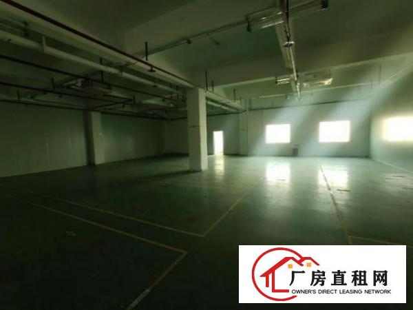  福永新出带装修原房东4400平的厂房