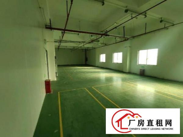  福永新出带装修原房东4400平的厂房