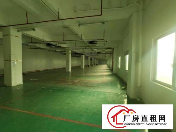 福永新出带装修原房东4400平的厂房