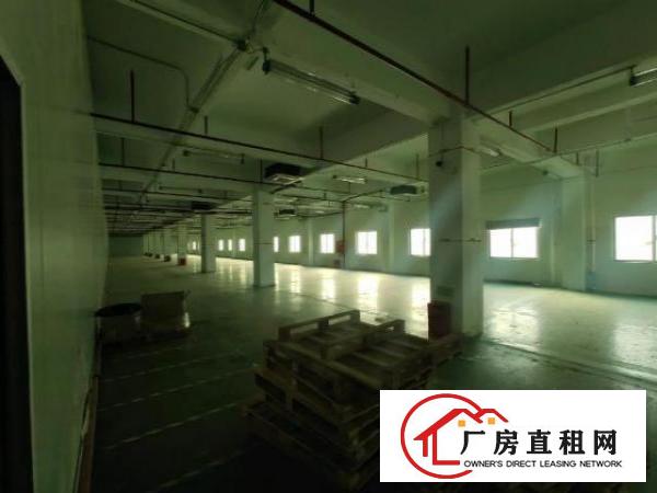  福永新出带装修原房东4400平的厂房