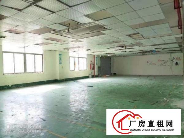  厂房出租研发小加工20000平方，大小分租