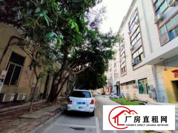  福永和平土豪版的LED瓷砖背景墙，园区形象花园式