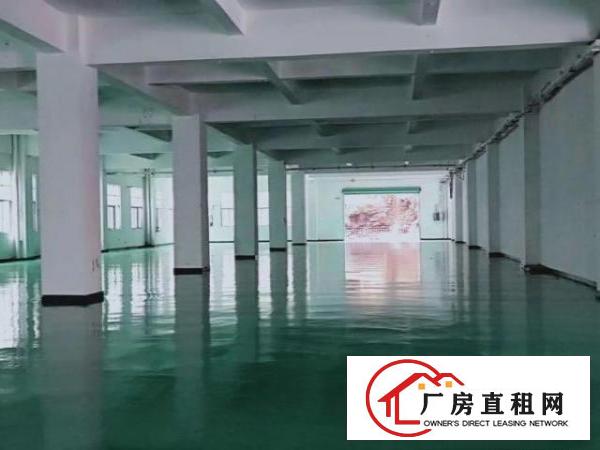  标准厂房200平方至3200方平大小分租