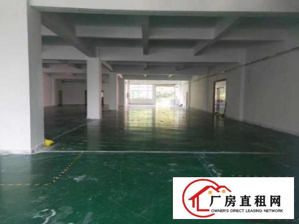  标准厂房200平方至3200方平大小分租